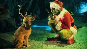 'Abuse doesn’t take a Christmas break': Women’s Aid expects 60 helpline calls a day