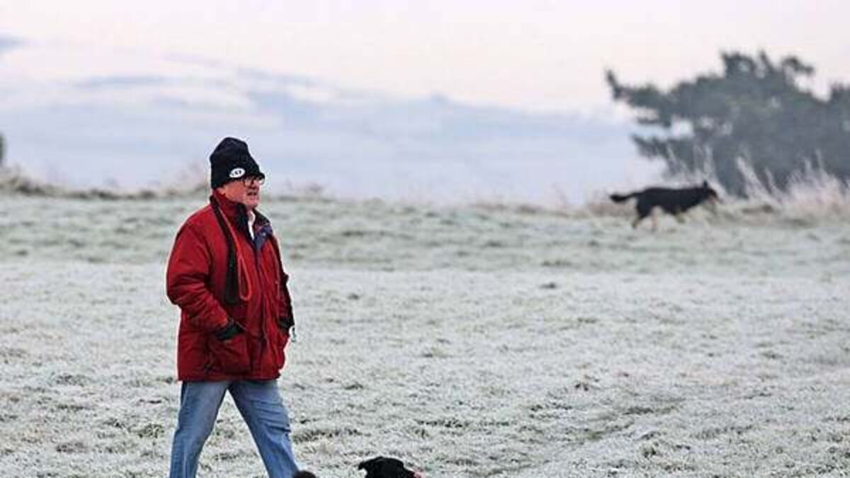 Cold snap to continue into the weekend with frost overnight