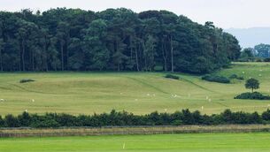 <p>Photo: ©INPHO/Tom Maher</p>