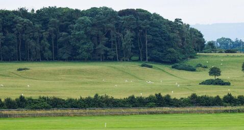 Youth involved in Curragh TikTok video ‘heading for incarceration’
