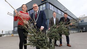  Recycle your Christmas trees at Kildare Lidl hub