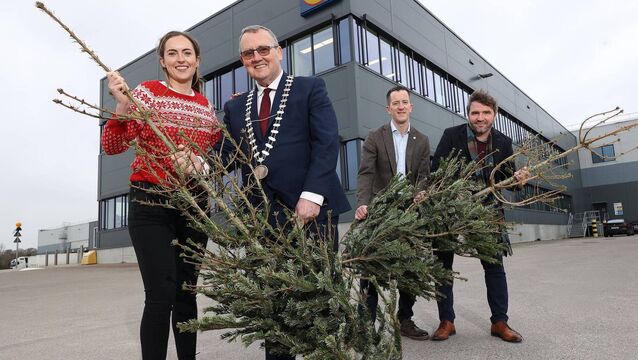 <p>Elaine O'Connor, Lidl; Cllr Noel Heavey, Mayor of Newbridge; Damien Ryan, Lidl; and Richard Curtin KCC.</p>
