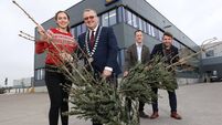  Recycle your Christmas trees at Kildare Lidl hub