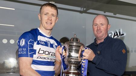 In review: Naas still dominate local hurling landscape but St Martins prove too good again in Leinster