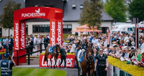 Punchestown Racecourse: Preview and Tips for New Year’s Eve