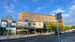 Woman (50s) airlifted to hospital following incident with pit bull terrier