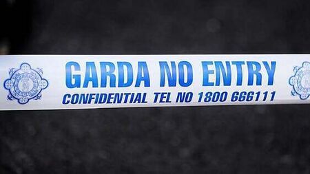 Man (40s) dies after being hit by car in Kildare