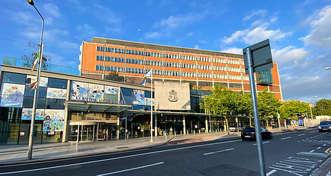 Woman (50s) remains in serious condition following incident with pit bull in Co Carlow