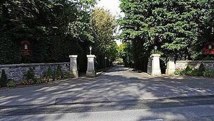 EVs and plug-in hybrids lead new car sales in July EVs and plug-in hybrids lead new car sales in July