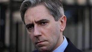 EVs and plug-in hybrids lead new car sales in July