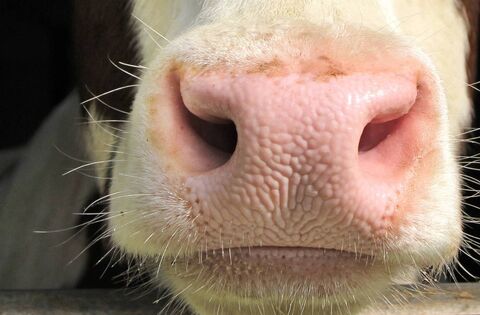 The funding forms part of a €2.18 billion national package 