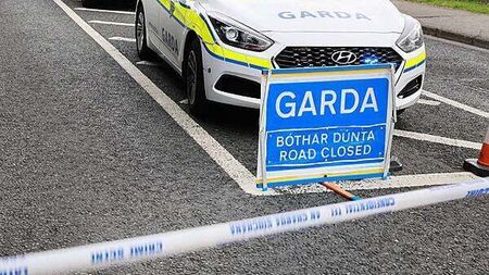 Man (30s) dies after colliding with a tree in Co Kerry