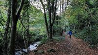 Government paid nearly €1.4m to expand Glen of the Downs nature reserve