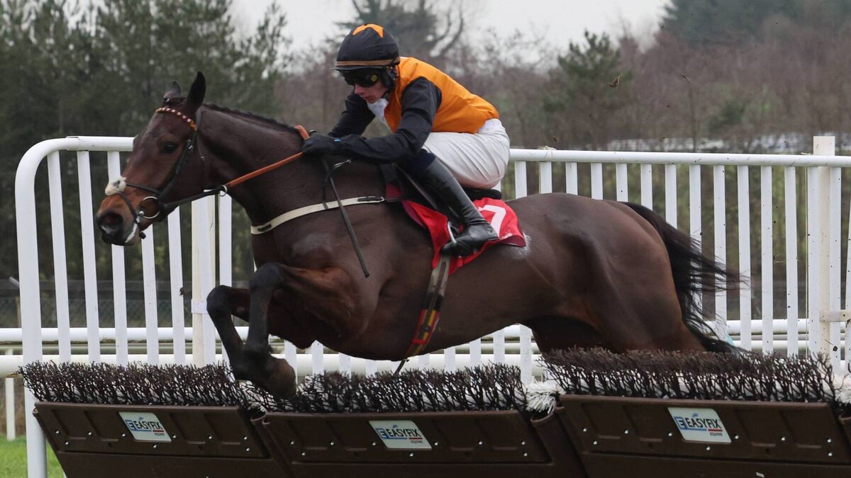Showpiece meeting at Naas postponed until Friday