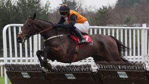 Showpiece meeting at Naas postponed until Friday