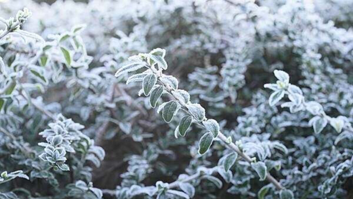 Storm Goretti: Snow and rain warning in place for four counties