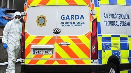 Bodies of boy and man removed from separate Dublin homes