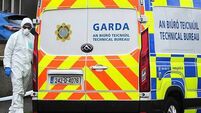 Bodies of boy and man removed from separate Dublin homes