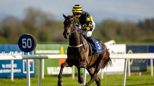 Naas Racecourse: preview and tips for Friday’s seven-race card