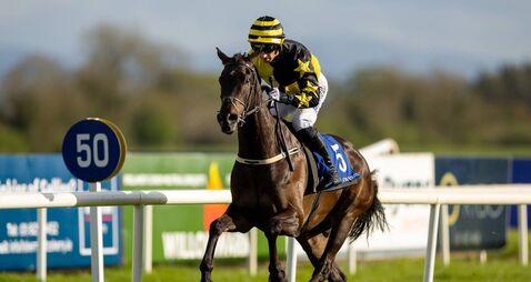 Naas Racecourse: preview and tips for Friday’s seven-race card 
