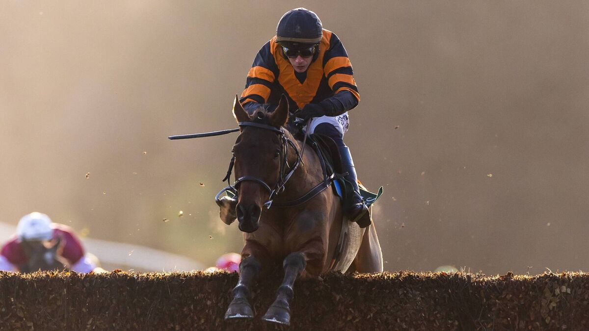 Goffs Thyestes Chase launched at Closutton