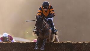 Goffs Thyestes Chase launched at Closutton