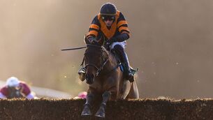 <p>Nick Rockett on the way to winning last year's Goffs Thyestes Handicap Steeplechase Photo: ©INPHO/Morgan Treacy</p>