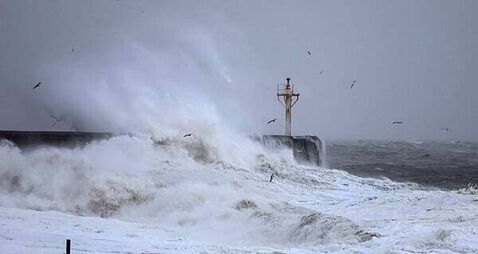 Yellow wind warning issued for seven counties