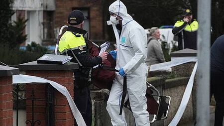 Post-mortems completed on Dublin father and son