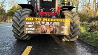 Farmers take part in rolling protest against Mercosur deal