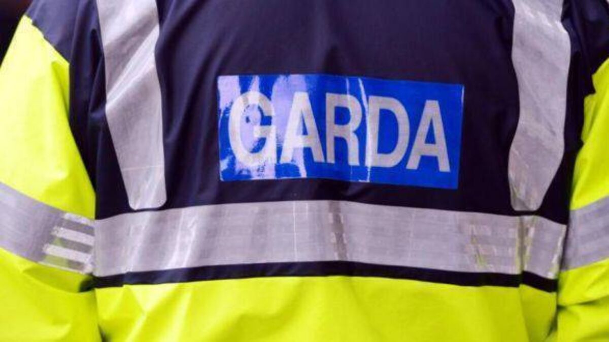 Kildare woman admits taking dump in garda van