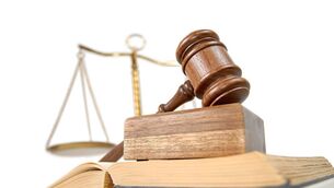 <p>'I note your colourful language hasn’t changed,' commented the judge</p>