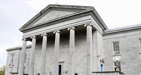 Clare woman accused of stealing 6.5ft Christmas tree tells judge 'I am a famous woman'