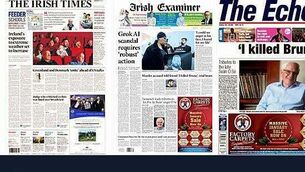 No threat to Christmas turkey supplies yet — Chief Veterinary Officer