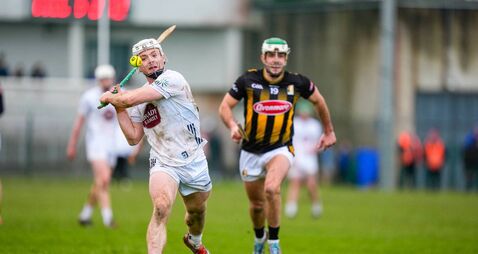 Kildare put in impressive showing against the Cats