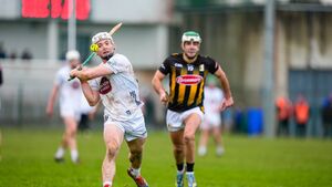 Kildare put in impressive showing against the Cats