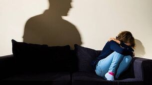 Fota Wildlife Park announces arrival of two new meerkat pups