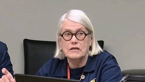 Darina Allen says school meals should be sourced locally and made from scratch