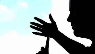 Man (33) who operated online concert and match ticket scam is jailed