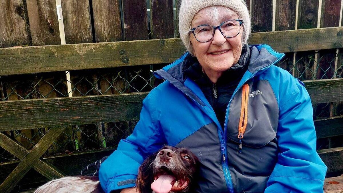 'Guardian angel' dog didn't leave Geraldine's side after fall 