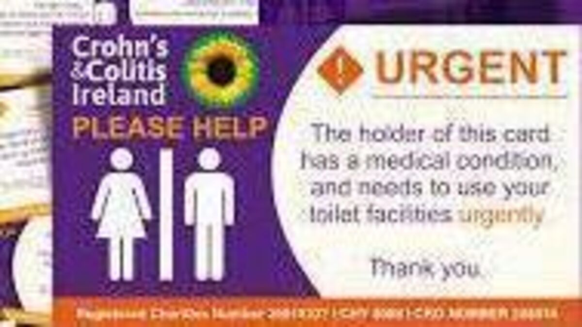 Kildare TD calls for 'no wait' card for public toilet use