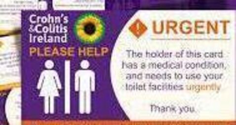 Kildare TD calls for 'no wait' card for public toilet use