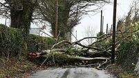 Homes worst impacted by Storm Éowyn dealing with constant power cuts
