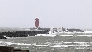 Police arrest burglary suspect who had climbed tree in Belfast Police arrest burglary suspect who had climbed tree in Belfast