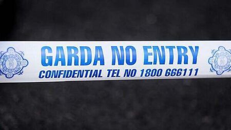 Man rushed to hospital after stabbing at a house in Limerick