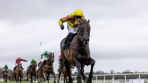 Titans set to collide at the Dublin Racing Festival