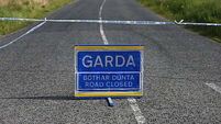 Woman (60s) dies after being struck by truck in Co Dublin