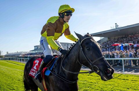 Galopin at the heart of a sold out Day 1 of Dublin Racing Festival on Saturday
