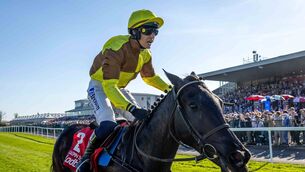 <p>Galopin Des Champs is looking for a fourth Irish Gold Cup in a row at Leopardstown this weekend Photo: ©INPHO/Morgan Treacy</p>