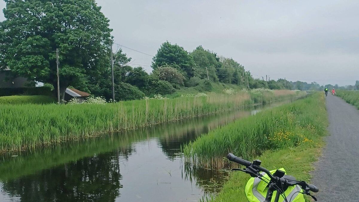 Athy group dedicated to protecting local waterways